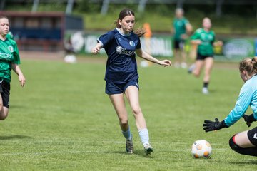 Bild 248 - F VfL Pinneberg - GW Eimsbuettel4 : Ergebnis: 9:0